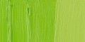 00476_YellowishGreen-l.jpg