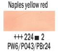 napl yell red.PNG