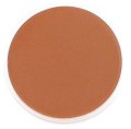 burnt sienna.jpg