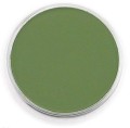 chromium oxide green shade.jpg
