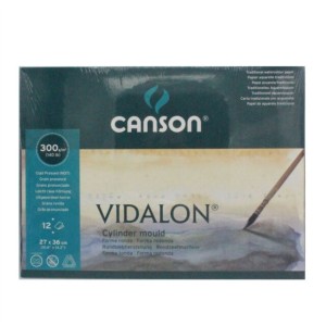 Canson Vidalon 27x36 