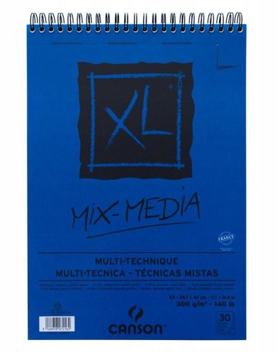 xl mix media a3.JPG