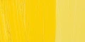 00476_Cad.YellowMedium-m.jpg