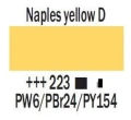 naples yell d.JPG