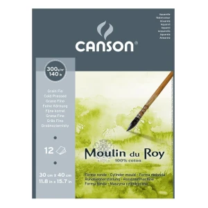 Canson Moulin du Roy 30x40 Drobnoziarnisty  