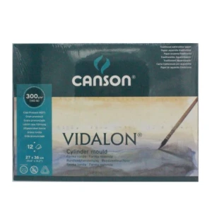 Canson Vidalon 27x36 