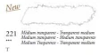 medium transparent.JPG