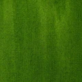 sap green perm 2.jpg