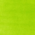 vivid lime green 2.jpg
