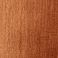 iri rich copp 2.jpg
