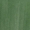 muted green 2.jpg