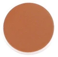 burnt sienna.jpg