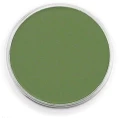 chromium oxide green shade.jpg