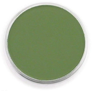 Miękka Pastela PanPastel Chromium Oxide Green Shade