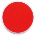 permanent red.jpg