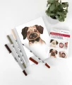 smk_2020_04_illustration_pug_2.jpg